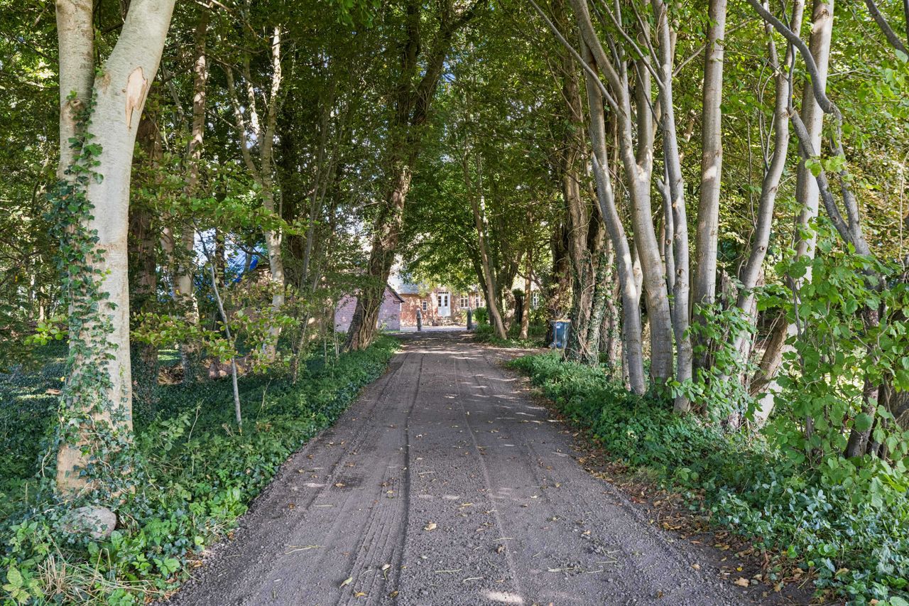 image 03